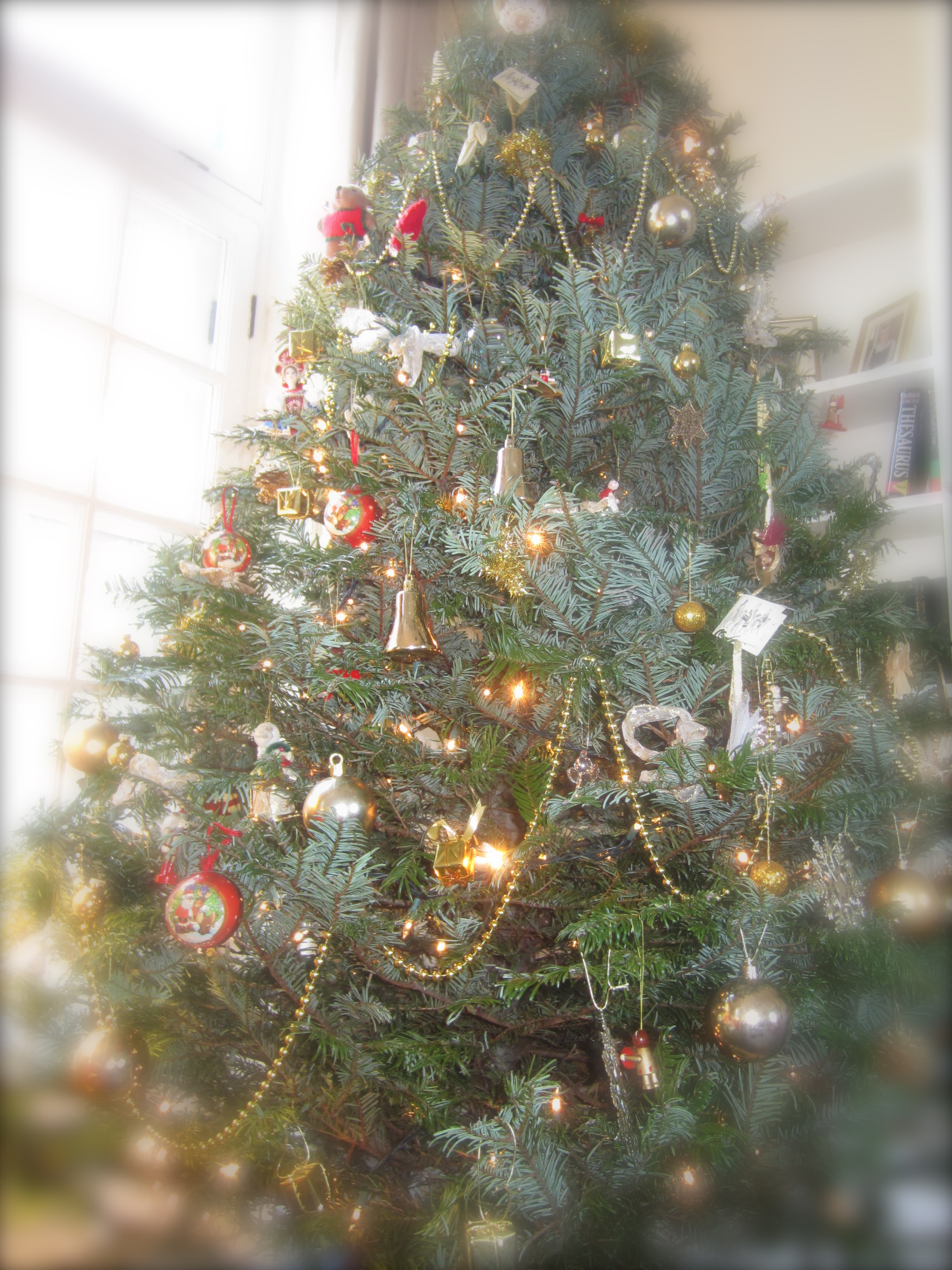 Lovely to see all the old favourites - every bauble has a story!